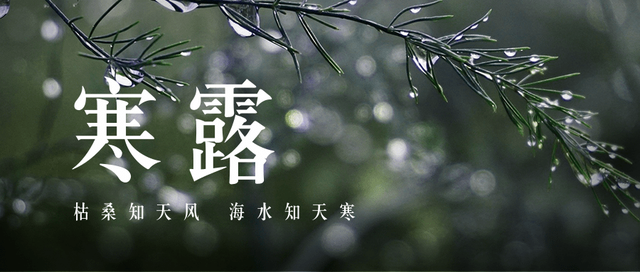 寒露|裊裊涼風(fēng)動(dòng)，凄凄寒露零